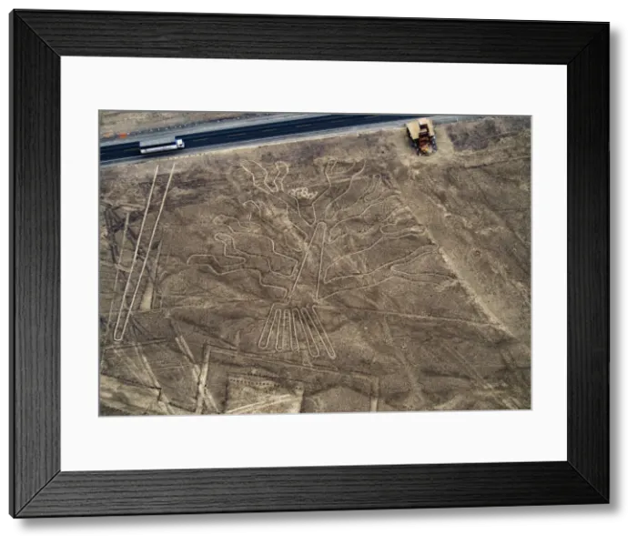 Framed Print : The Tree Geoglyph, aerial view, Nazca, UNESCO World Heritage Site, Ica Region, Peru Framed Print : The Tree Geoglyph, aerial view, Nazca, UNESCO World Heritage Site, Ica Region, Peru