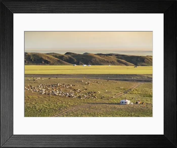 Framed Print : Nomadic camp and livestock, Bayandalai district, South Gobi province, Mongolia, Central Asia Framed Print : Nomadic camp and livestock, Bayandalai district, South Gobi province, Mongolia, Central Asia