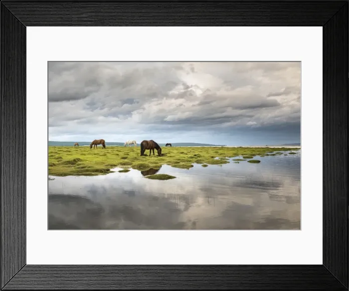 Framed Print : Horses grazing on the shores of Hovsgol Lake, Hovsgol province, Mongolia, Central Asia Framed Print : Horses grazing on the shores of Hovsgol Lake, Hovsgol province, Mongolia, Central Asia
