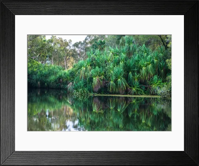 Framed Print : Yellow Water billabong and wetland, Kakadu National Park, UNESCO World Heritage Site Framed Print : Yellow Water billabong and wetland, Kakadu National Park, UNESCO World Heritage Site