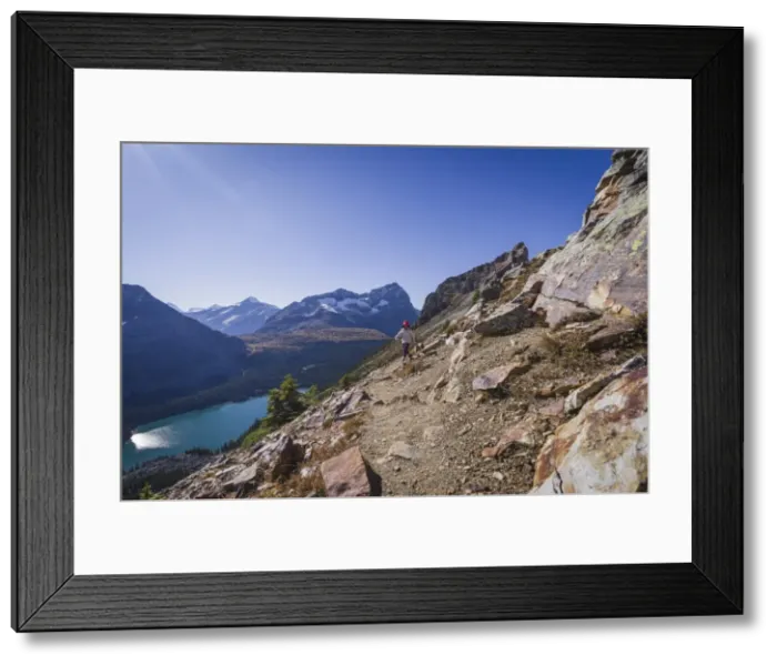 Framed Print : Woman hiker on the Alpine Circuit Trail at Lake O Hara, Yoho National Park, UNESCO