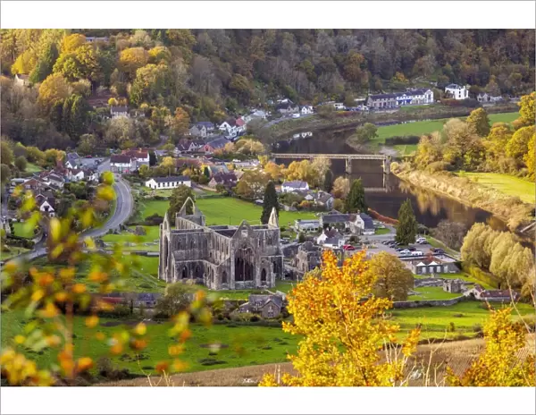 Tintern Abbey, Wye Valley, Monmouthshire, Wales, United Kingdom, Europe