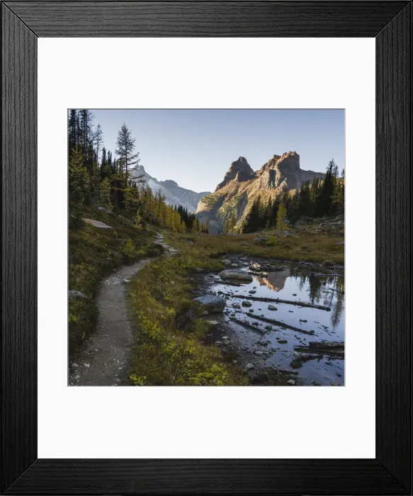 Framed Print : The Alpine Circuit Trail at Lake O Hara, Yoho National Park, UNESCO World Heritage Site Framed Print : The Alpine Circuit Trail at Lake O Hara, Yoho National Park, UNESCO World Heritage Site