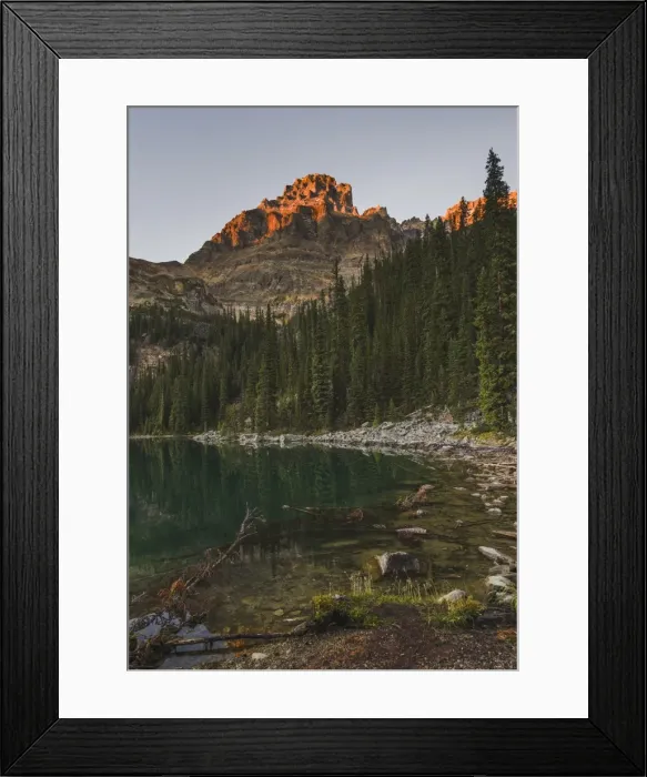 Framed Print : Lake O Hara at sunset, Yoho National Park, UNESCO World Heritage Site, British Columbia Framed Print : Lake O Hara at sunset, Yoho National Park, UNESCO World Heritage Site, British Columbia