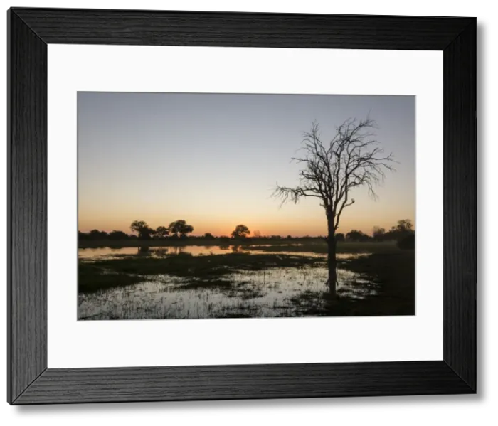 Framed Print : Sunset over the Delta, Khwai Conservation Area, Botswana, Africa Framed Print : Sunset over the Delta, Khwai Conservation Area, Botswana, Africa