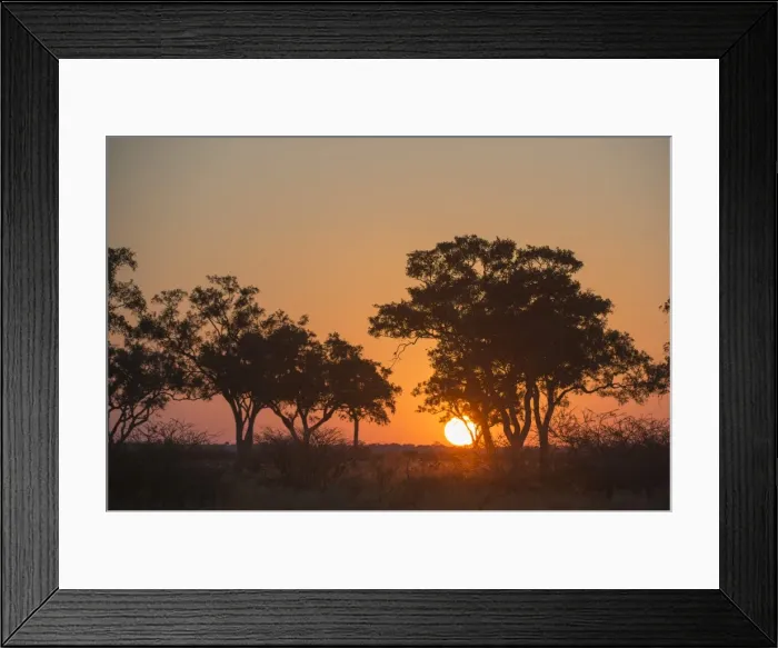 Framed Print : Sunset in the Savuti marsh, Botswana, Africa Framed Print : Sunset in the Savuti marsh, Botswana, Africa