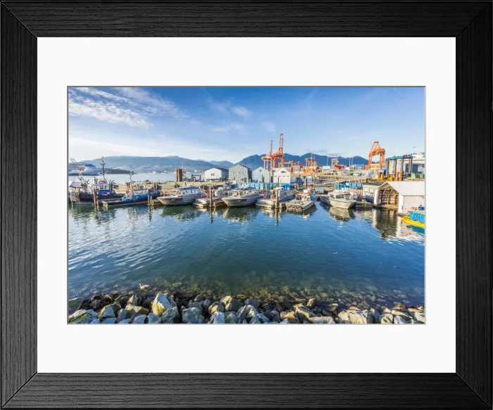 Framed Print : View of cruise ship and boats moored in harbour near CRAB Park at Portside, Vancouver Framed Print : View of cruise ship and boats moored in harbour near CRAB Park at Portside, Vancouver
