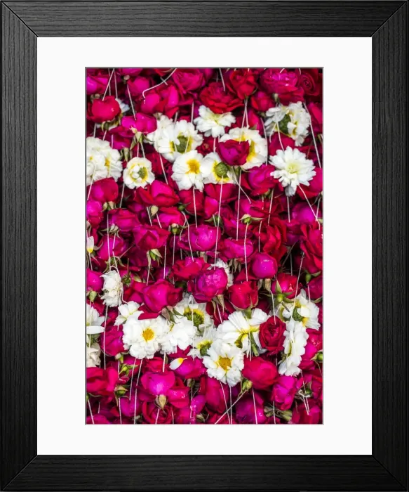 Framed Print : Flowers for offering at a Hindu temple, New Delhi, India, Asia Framed Print : Flowers for offering at a Hindu temple, New Delhi, India, Asia
