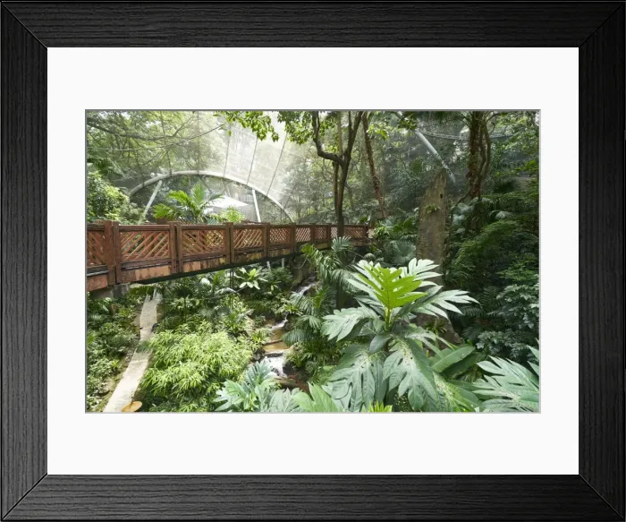 Framed Print : Hong Kong Park Aviary in Central, Hong Kong Island, Hong Kong, China, Asia Framed Print : Hong Kong Park Aviary in Central, Hong Kong Island, Hong Kong, China, Asia