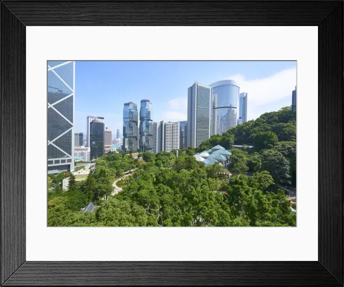 Framed Print : Hong Kong Park in Central, Hong Kong Island, Hong Kong, China, Asia Framed Print : Hong Kong Park in Central, Hong Kong Island, Hong Kong, China, Asia
