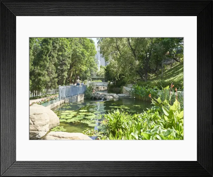 Framed Print : Hong Kong Park in Central, Hong Kong Island, Hong Kong, China, Asia Framed Print : Hong Kong Park in Central, Hong Kong Island, Hong Kong, China, Asia