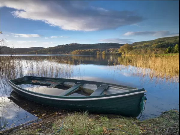 Kinlochard, Loch Ard, Aberfoyle, The Trossachs, Scotland, United Kingdom, Europe