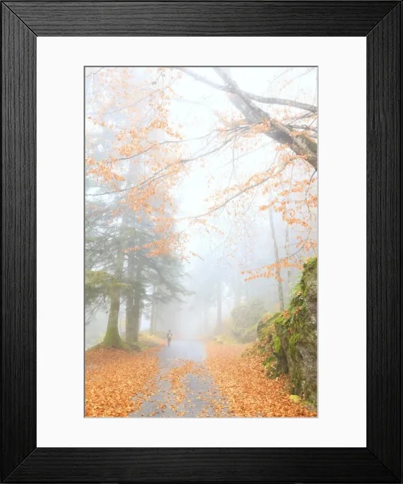 Framed Print : One person walk in the forest of Bagni di Masino, Valmasino, Valtellina, Lombardy Framed Print : One person walk in the forest of Bagni di Masino, Valmasino, Valtellina, Lombardy