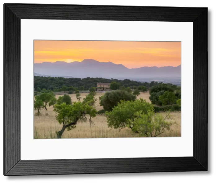 Framed Print : View of landscape with olive trees and mountains at dusk with farmhouse in landscape Framed Print : View of landscape with olive trees and mountains at dusk with farmhouse in landscape