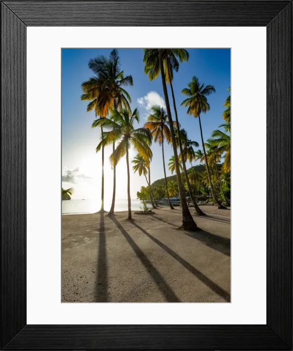 Framed Print : Tall palms and long shadows on the small beach at Marigot Bay, St. Lucia, Windward Islands Framed Print : Tall palms and long shadows on the small beach at Marigot Bay, St. Lucia, Windward Islands