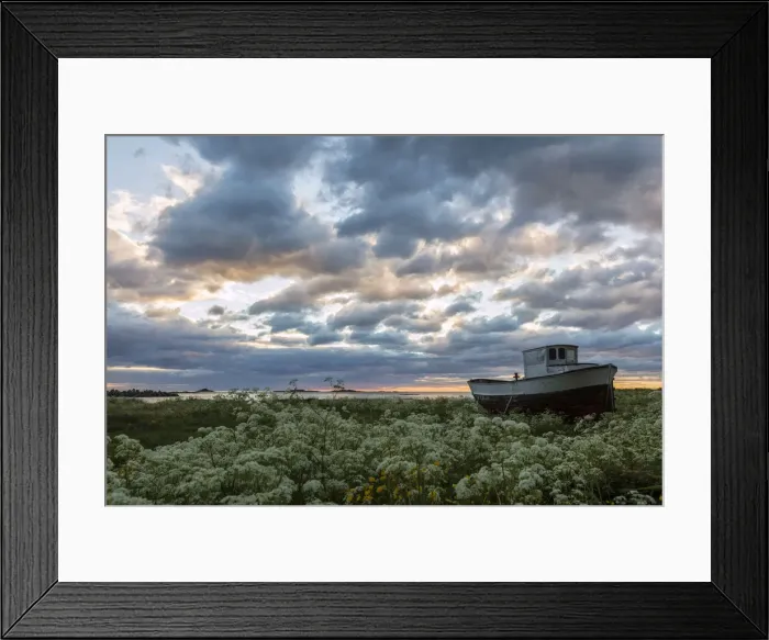 Framed Print : Pink clouds and midnight sun on an old boat in green meadows of blooming flowers Framed Print : Pink clouds and midnight sun on an old boat in green meadows of blooming flowers