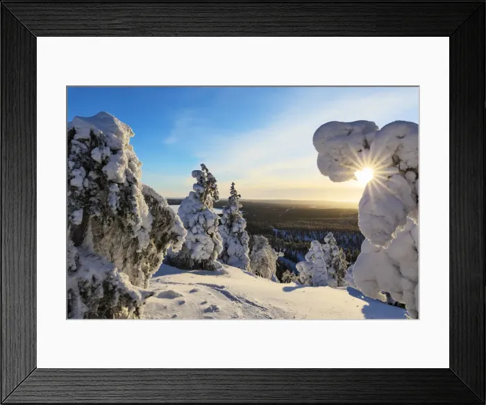 Framed Print : Sun and blue sky frame the the frozen tree branches in the snowy woods, Ruka, Kuusamo Framed Print : Sun and blue sky frame the the frozen tree branches in the snowy woods, Ruka, Kuusamo