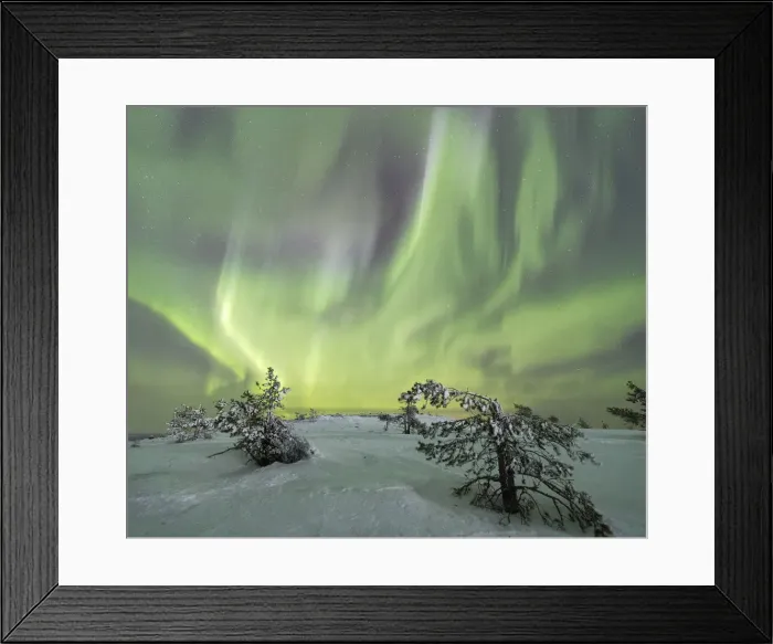 Framed Print : Panorama of snowy woods and frozen trees framed by Northern lights (Aurora Borealis) and stars Framed Print : Panorama of snowy woods and frozen trees framed by Northern lights (Aurora Borealis) and stars