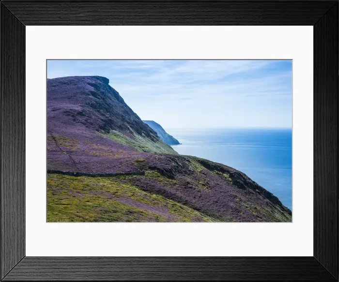 Framed Print : Blooming flowers on the west coast of the Isle of Man, crown dependency of the United Kingdom Framed Print : Blooming flowers on the west coast of the Isle of Man, crown dependency of the United Kingdom