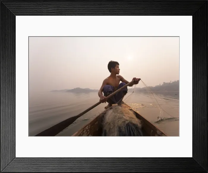 Framed Print : A young man pulls in his nets at the end of the day on Indawgyi Lake, Kachin State Framed Print : A young man pulls in his nets at the end of the day on Indawgyi Lake, Kachin State