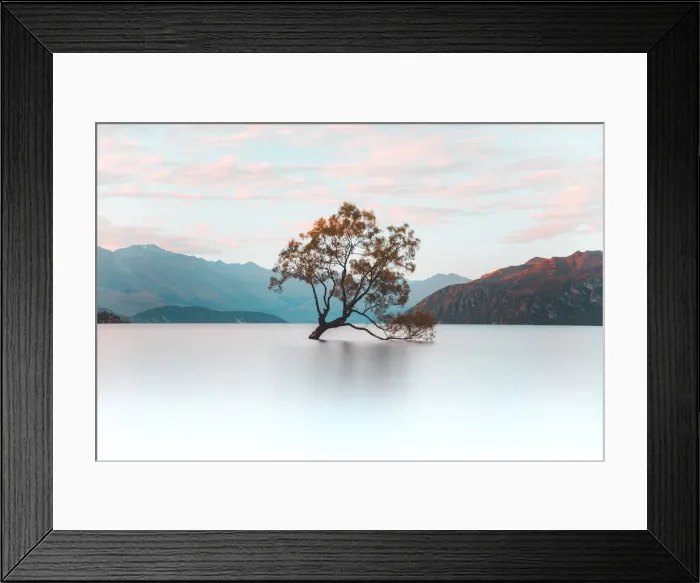 Framed Print : That Wanaka Tree, Wanaka, Otago, South Island, New Zealand, Pacific Framed Print : That Wanaka Tree, Wanaka, Otago, South Island, New Zealand, Pacific