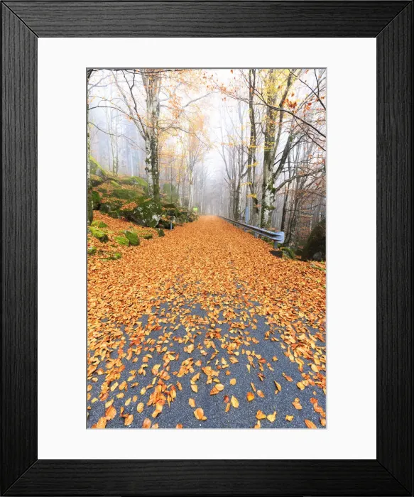 Framed Print : Leaves on the road through the forest of Bagni di Masino, Valmasino, Valtellina. Lombardy Framed Print : Leaves on the road through the forest of Bagni di Masino, Valmasino, Valtellina. Lombardy