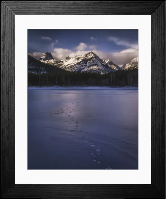 Framed Print : Winter landscape of the Canadian Rockies at Wedge Pond, tracks of wildlife on frozen lake Framed Print : Winter landscape of the Canadian Rockies at Wedge Pond, tracks of wildlife on frozen lake