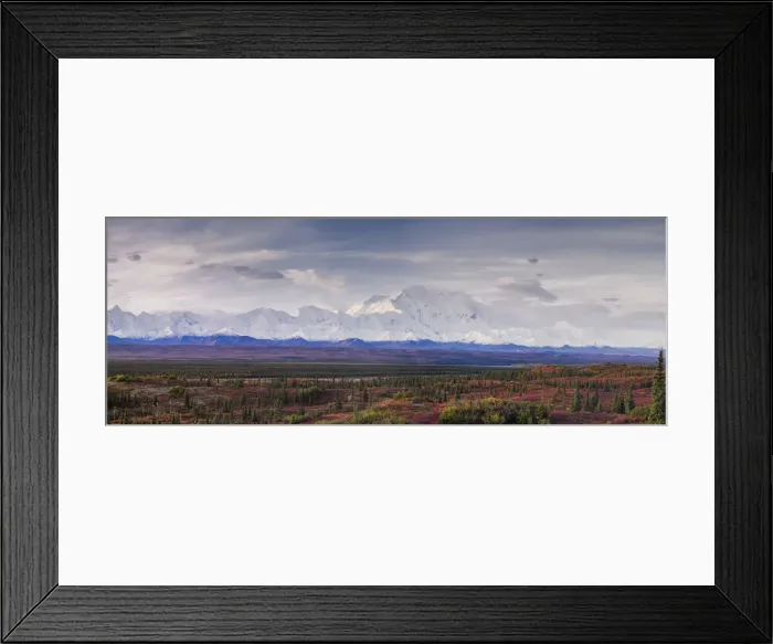 Framed Print : Panoramic landscape of the Denali Mountain (Mount McKinley), Denali National Park Framed Print : Panoramic landscape of the Denali Mountain (Mount McKinley), Denali National Park