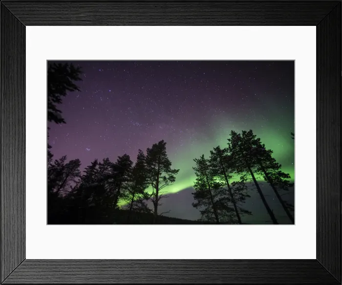 Framed Print : Northern lights (aurora borealis) over Lapland forest, Jukkasjarvi, Sweden, Scandinavia Framed Print : Northern lights (aurora borealis) over Lapland forest, Jukkasjarvi, Sweden, Scandinavia