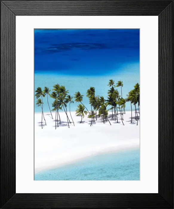 Framed Print : Aerial view of tropical beach and palm trees, The Maldives, Indian Ocean, Asia Framed Print : Aerial view of tropical beach and palm trees, The Maldives, Indian Ocean, Asia