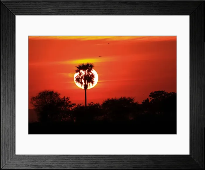 Framed Print : Sunset, Bagan, Myanmar (Burma), Asia Framed Print : Sunset, Bagan, Myanmar (Burma), Asia