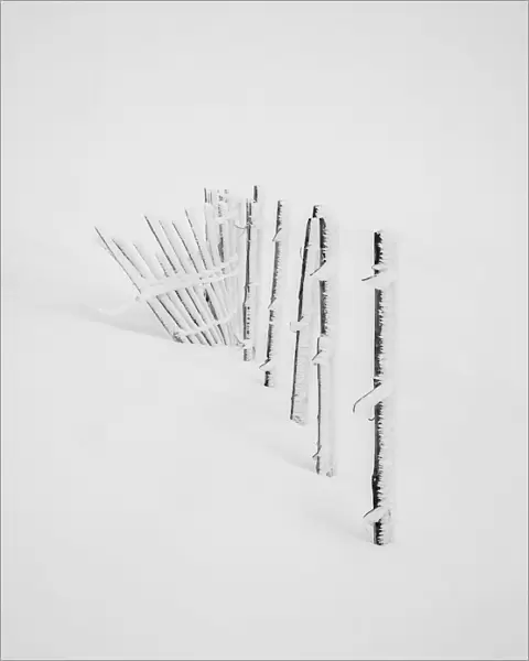 A build up of rime ice on the ski fence during a white out conditions on the Cairngorms
