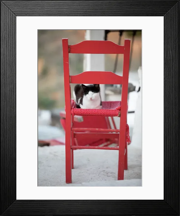 Framed Print : Black and white cat asleep on red chair, Kastro, Sifnos, Cyclades, Aegean Sea, Greek Islands