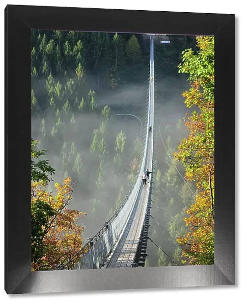 Swing Bridge Geierlay, Moersdorf, Hunsrueck, Rhineland-Palatinate, Germany, Europe