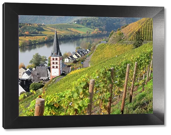 View of Merl district, Moselle Valley, Zell an der Mosel, Rhineland-Palatinate, Germany