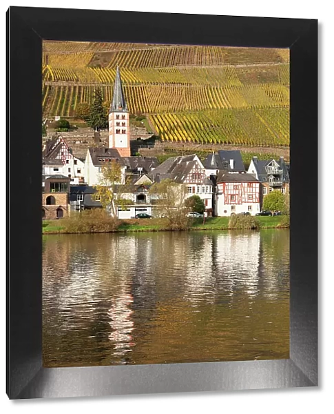 View of Merl district, Moselle Valley, Zell an der Mosel, Rhineland-Palatinate, Germany