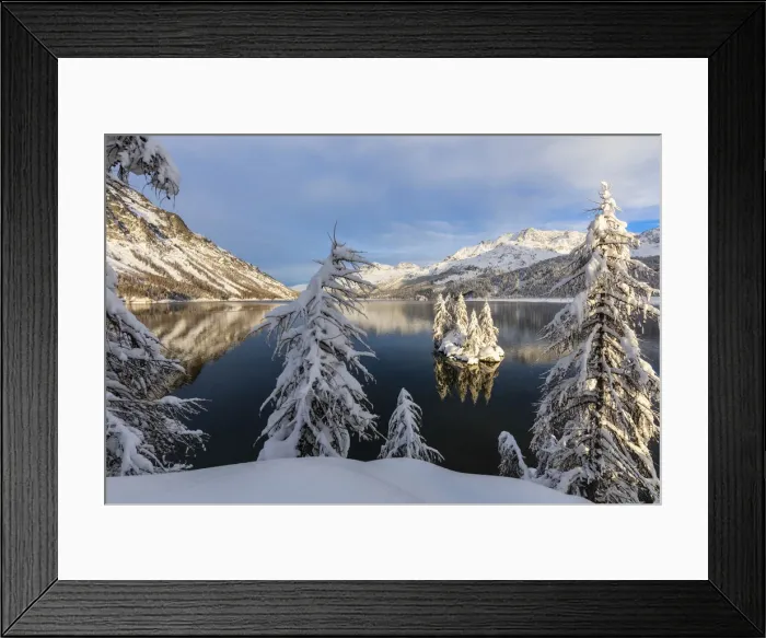 Framed Print : Snow covered trees on the shore of frozen Lake Sils, Plaun da Lej, Maloja Region Framed Print : Snow covered trees on the shore of frozen Lake Sils, Plaun da Lej, Maloja Region