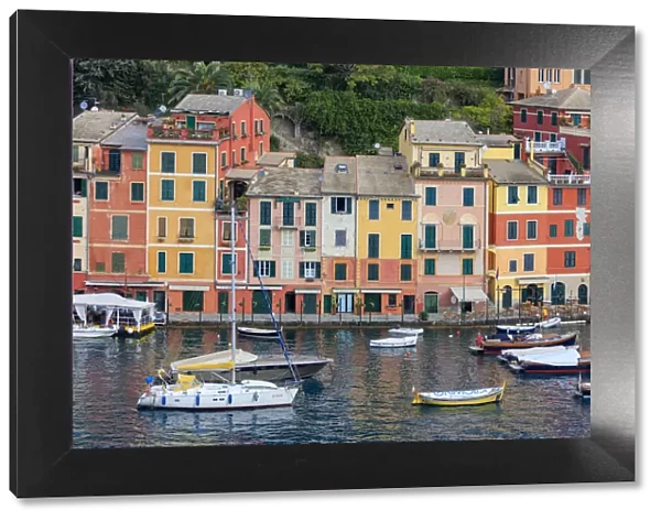 Harbour and typical coloured houses, Portofino, province of Genoa, Liguria, Italy, Europe