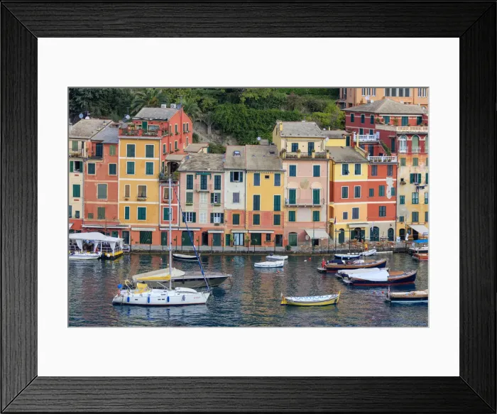 Framed Print : Harbour and typical coloured houses, Portofino, province of Genoa, Liguria, Italy, Europe Framed Print : Harbour and typical coloured houses, Portofino, province of Genoa, Liguria, Italy, Europe