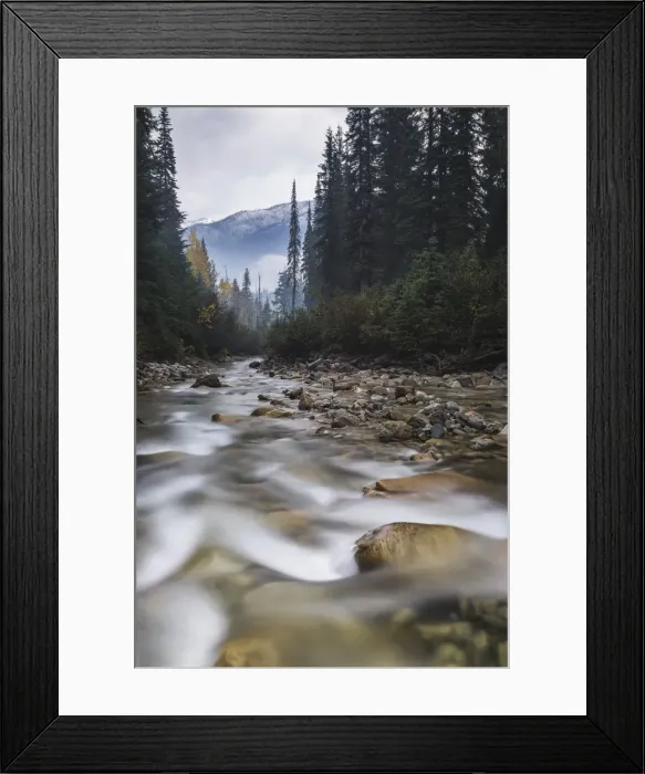 Framed Print : Connaught Creek winding through a dark misty forest, Glacier National Park of Canada Framed Print : Connaught Creek winding through a dark misty forest, Glacier National Park of Canada