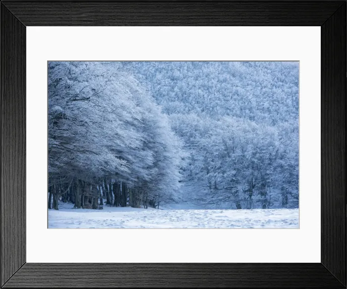 Framed Print : Forest with snow in winter, Monte Cucco Park, Apennines, Umbria, Italy, Europe