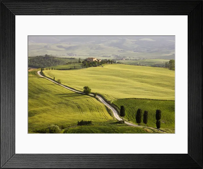 Framed Print : Cypress trees and green fields in the afternoon sun at Agriturismo Terrapille (Gladiator Framed Print : Cypress trees and green fields in the afternoon sun at Agriturismo Terrapille (Gladiator