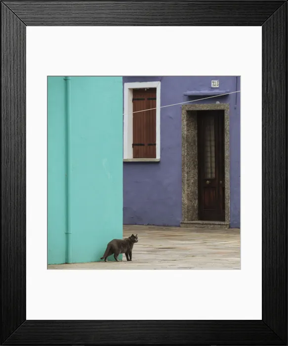 Framed Print : Burano, Venice, UNESCO World Heritage Site, Veneto Province, Italy, Europe Framed Print : Burano, Venice, UNESCO World Heritage Site, Veneto Province, Italy, Europe