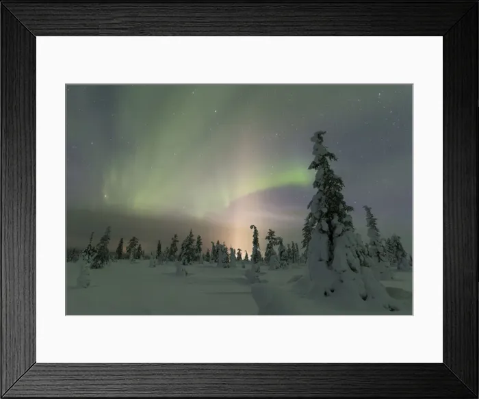 Framed Print : Northern Lights (Aurora Borealis) above the snowy woods, Pallas-Yllastunturi National Park Framed Print : Northern Lights (Aurora Borealis) above the snowy woods, Pallas-Yllastunturi National Park