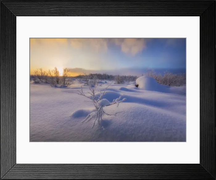 Framed Print : Sunset on the forest covered with snow, Muonio, Lapland, Finland, Europe Framed Print : Sunset on the forest covered with snow, Muonio, Lapland, Finland, Europe