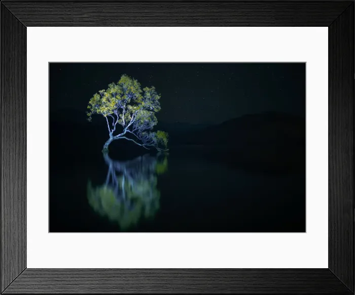 Framed Print : That Wanaka Tree against the stars at night, Otago, South Island, New Zealand, Pacific Framed Print : That Wanaka Tree against the stars at night, Otago, South Island, New Zealand, Pacific