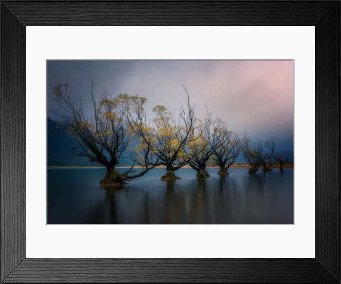 Framed Print : Glenorchy willow trees in autumn, Glenorchy, South Island, New Zealand, Pacific Framed Print : Glenorchy willow trees in autumn, Glenorchy, South Island, New Zealand, Pacific