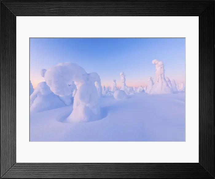 Framed Print : Shapes of frozen trees, Riisitunturi National Park, Posio, Lapland, Finland, Europe Framed Print : Shapes of frozen trees, Riisitunturi National Park, Posio, Lapland, Finland, Europe