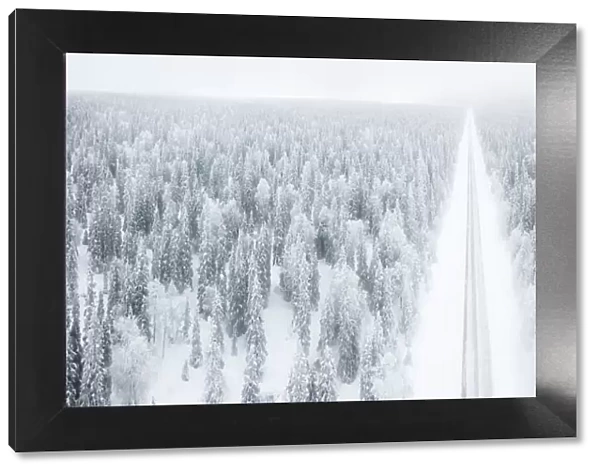 Elevated panoramic view of road along the snow covered forest, Pallas-Yllastunturi National Park
