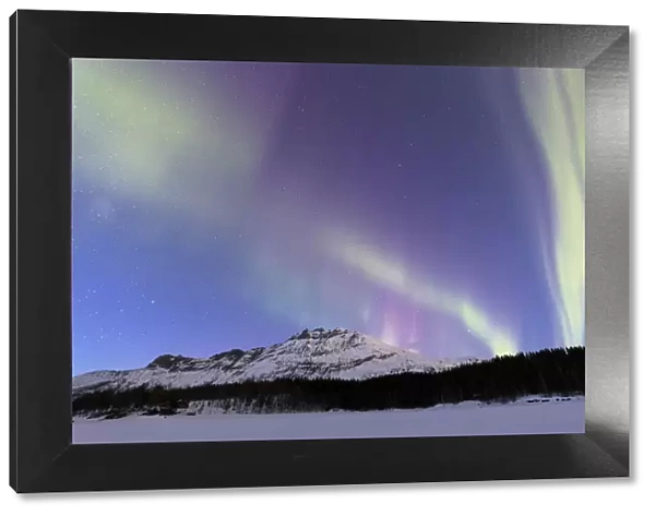 Northern Lights (Aurora borealis), Skoddebergvatnet, Grovfjord, Troms county, Lofoten Islands